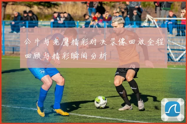 公牛与老鹰精彩对决录像回放全程回顾与精彩瞬间分析