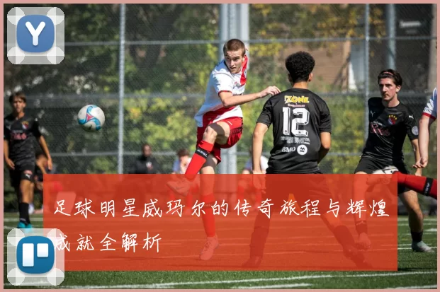 足球明星威玛尔的传奇旅程与辉煌成就全解析