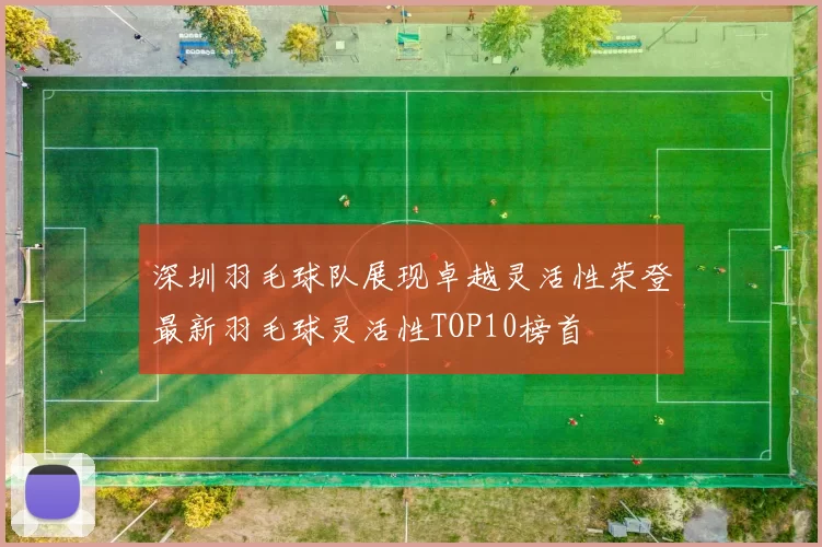 深圳羽毛球队展现卓越灵活性荣登最新羽毛球灵活性TOP10榜首