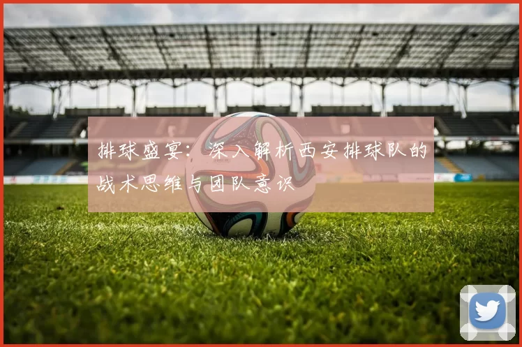 排球盛宴：深入解析西安排球队的战术思维与团队意识