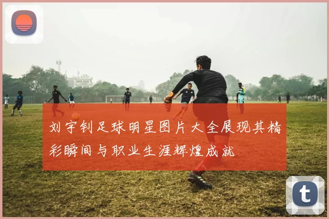 刘宇钊足球明星图片大全展现其精彩瞬间与职业生涯辉煌成就